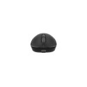 Gaming Mouse Fury TANTO T4 12000DPI Wireless
