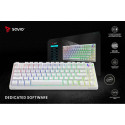 Mechanical Keyboard Phen SAVIO
