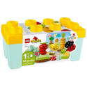 Constructor Set - LEGO Duplo 10984 Organic Garden