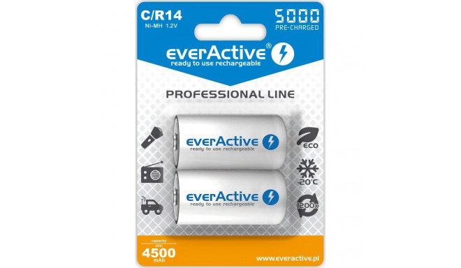 Rechargeable Batteries - Everactive Nimh R14c 5000mah