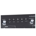 Analog Synthesizer - Behringer TD-3-SB Black
