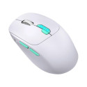 Computer Mouse - MOUSE DEFENDER NITTA MM-307 RF+BT OPTIC 1600dpi 6P Rechargeable 400 mAh White