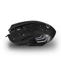 Computer Mouse - Esperanza EGM212 Optical 2400 DPI USB Type-C Right-hand
