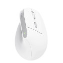 Office Mouse - Trust Bayo II Wireless Optical 2400 DPI Right-hand Ergonomic