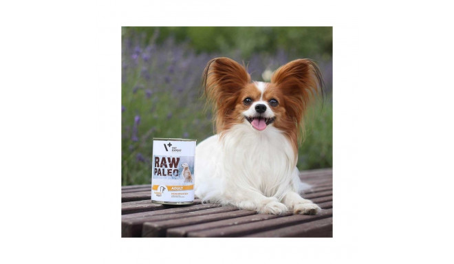 Wet Dog Food - RAW PALEO Monoprotein Turkey 400g Grain-Free