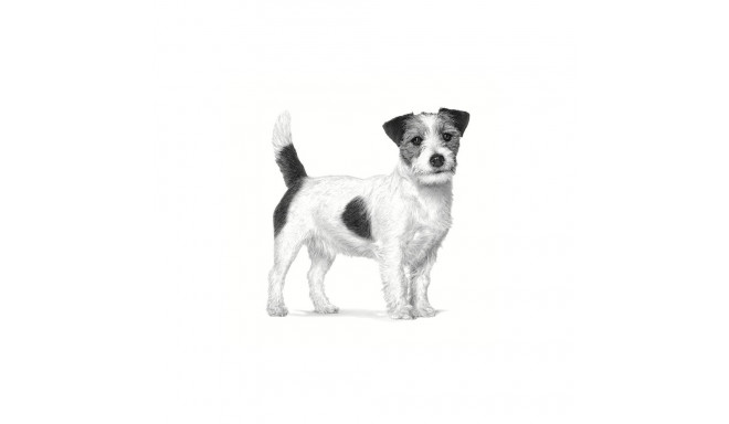 Gastrointestinal Dog Food - Royal Canin VHN Low Fat Small Breed 1.5kg