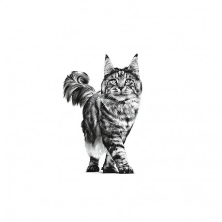 Cat Food - ROYAL CANIN Gastrointestinal VHN Dry Cat Food 400g