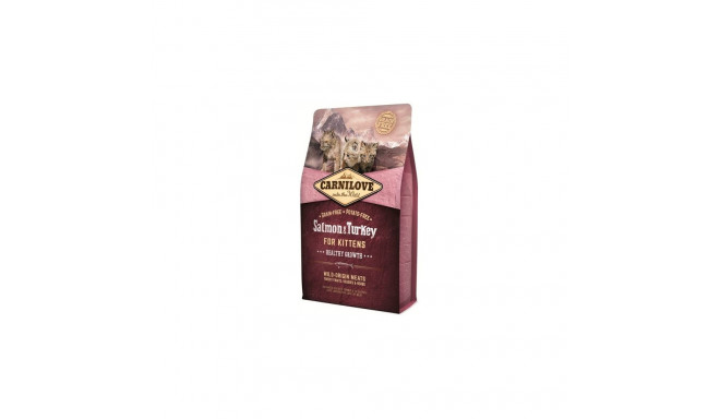 Cat Food - CARNILOVE Salmon & Turkey Kittens Dry 6kg Grain-Free
