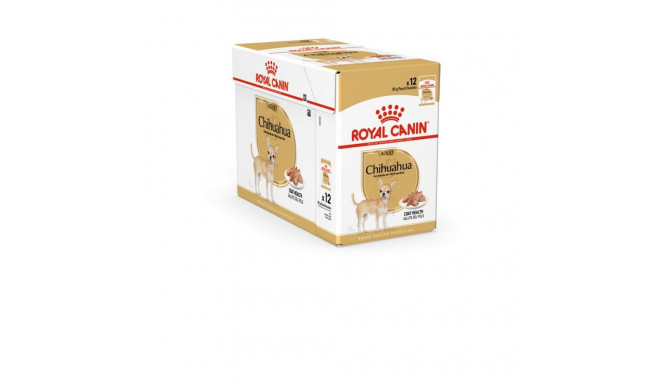 Dog Food - Royal Canin 12x85g