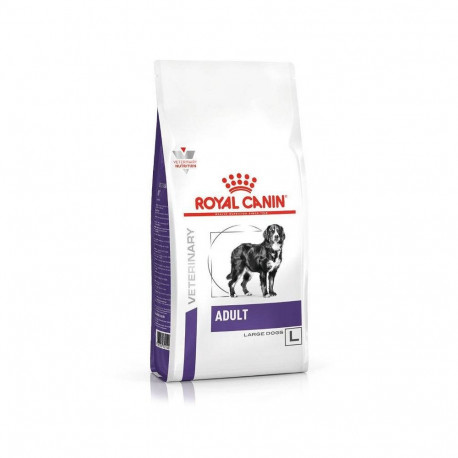 Dog Food - ROYAL CANIN Neutered Adult Large 28% Protein 21% Fat 13kg