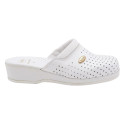 Clog Shoes - Scholl Backguard, White