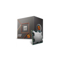 Processor - AMD Ryzen 5 8400F 4.2 GHz 16 MB L3 (Box)