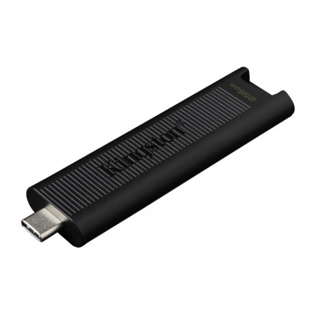 Flash Drive - Kingston Technology 256GB Max 1000r/900w USB 3.2 Gen 2