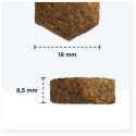 Dry Dog Food - Eukanuba German Shepherd 12 KG