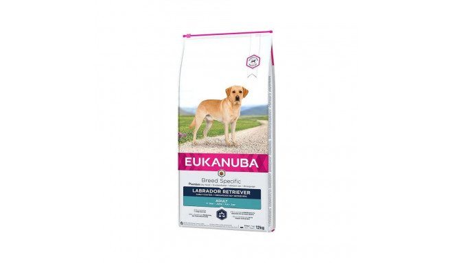 Dry Dog Food - Eukanuba 12kg