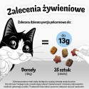 Cat Snack - FELIX Party Mix Dairy Delight - 60g