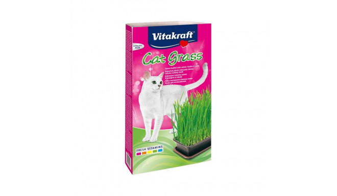 Cat Treats - Vitakraft Cat Grass Set 120 g
