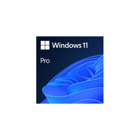 Software License - Microsoft Windows 11 Pro 64GB Storage 4GB RAM 64-bit