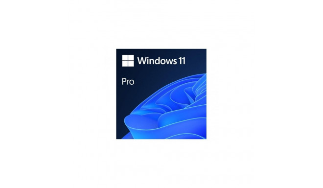 Software License - Microsoft Windows 11 Pro 64GB Storage 4GB RAM 64-bit
