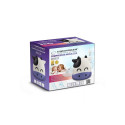Mesh Nebuliser - Esperanza Ecn001 Nebulizer
