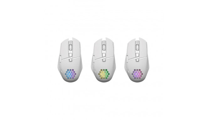 Gaming Mouse - Glory GM-514 3200dpi White Mouse Defender GM-514 Glory Optic RF RGB 3200dpi 7P White
