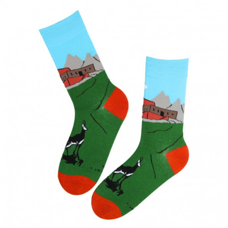 SOKISAHTEL EFE rohelised metsaga puuvillased sokid 446