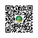 ESSENTIAL OIL LEMON 10ML