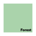Värvipaber IMAGE COLORACTION, A4, 80 gsm, 500 lehte, GREEN, No. 65 Värvipaber IMAGE COLORACTION, A4, 80 gsm, 500 lehte, GREEN, No. 65