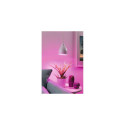 Paulmann Hilla suspension lighting Flexible mount E27 40 W