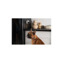 WRL CAMERA HD/CC10US PETCUBE