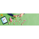 "LEGO Creator Wilde Tiere: Rosa Flamingo 31170"