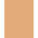 Rimmel London Kind & Free Blur It Out Mattifying Skin Tint (30ml) (350 Golden Honey)