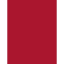 L'Oréal Paris Color Riche (1ml) (297 Red Passion)
