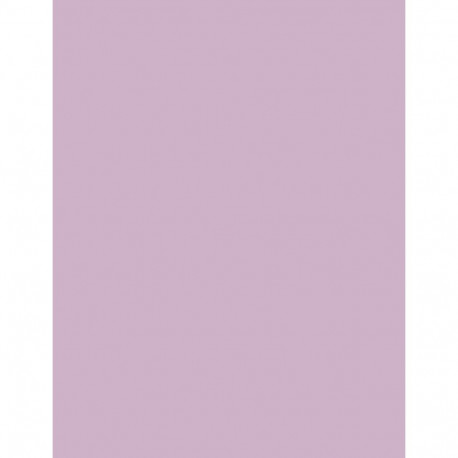 Sally Hansen Color Foil (10ml) (110 Fuchsia-ristic)