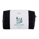 Redken Amino-Mint Shampoo (300ml) (Set)