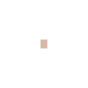 Shiseido Synchro Skin Self-Refreshing Custom Finish Powder (9g)
