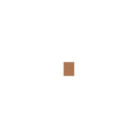 Clinique Even Better Make-Up SPF15 (30ml)