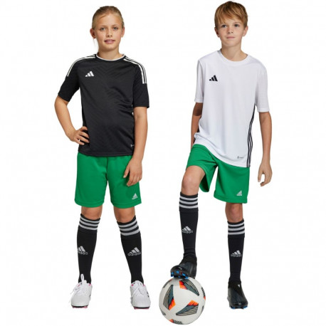 adidas laste lühikesed püksid Entrada 22 IC7410 152cm, roheline