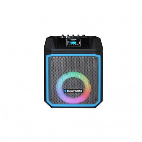 Blaupunkt power audio speaker MB06.2
