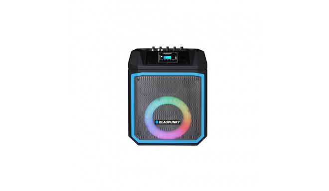 Blaupunkt power audio speaker MB06.2