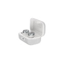Sennheiser Momentum 4 True Wireless In-Ear Earbuds Silver EU