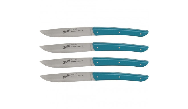 Berkel steak knife set 4-pcs. Color petrol blue