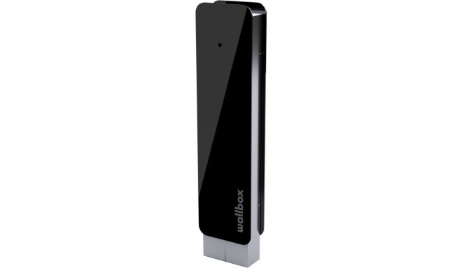 Wallbox Pedestal onyx CMX2 kahepoolne