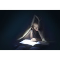 Ansmann LED-taskulamp Daily Use 300B, sisaldab 2xBaby C patareid 1600-0430