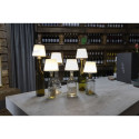 REV LED Bottle Light wireless Lamprusco warmwhite