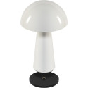 Century LED Lamp COCO white 1,5W 2700K 100 Lumen Dimm. IP44