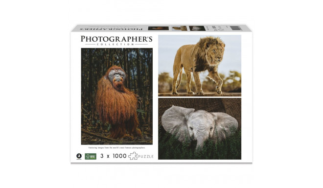 Ambassador Wildlife 3x1000 tükki (Donal Boyd)