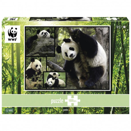 Ambassador Pandas 1000-osaline pusle