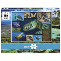 Ambassador Sea Turtles 1000 Pieces