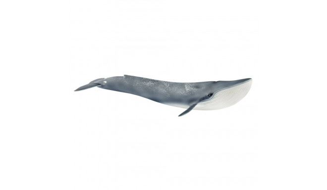 Schleich Wild Life 14806 sinivaal